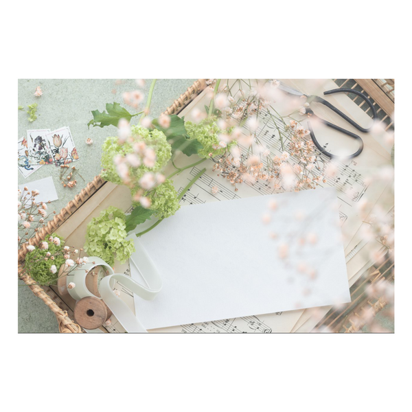 Zela Place Mats Spring Song 25pk