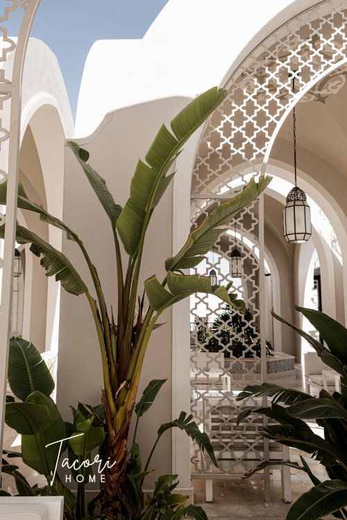 Tacori Microfibre Tea Towel Olive 60x40cm