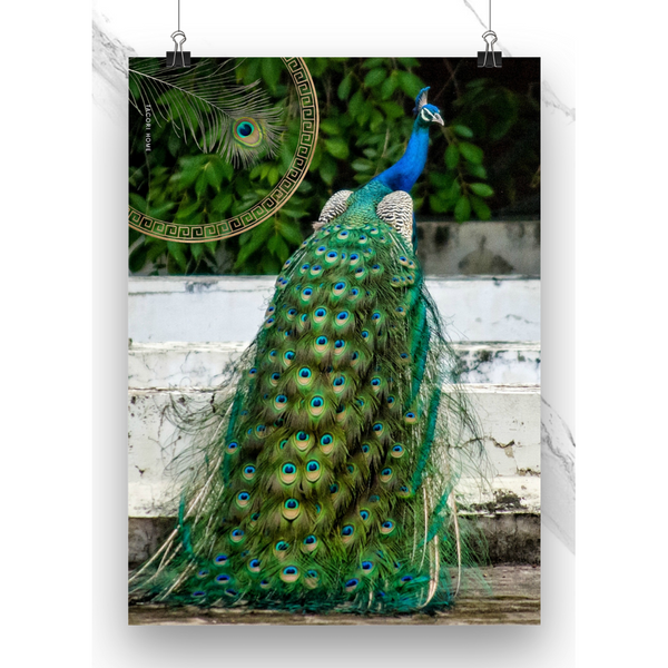 Tacori Microfibre Tea Towel Peacock 60x40cm