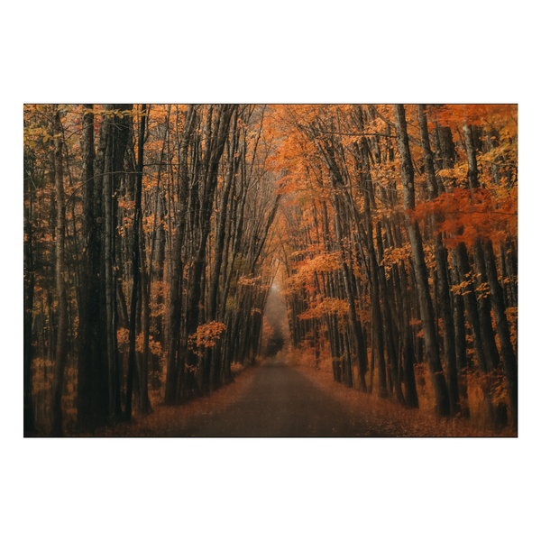 Zela Place Mats Autumn Glow 25pk