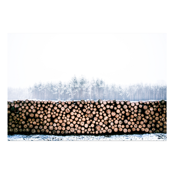 Zela Place Mats Wood Pile 25pk