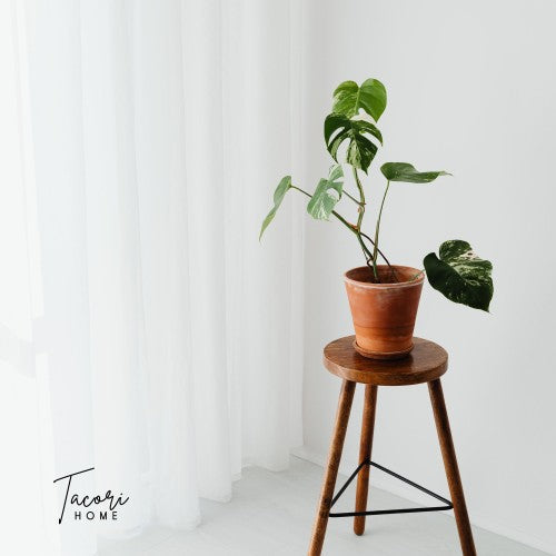 Tacori Microfibre Cloth Smarty 30x30cm