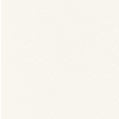 Pack Service Napkins Airwave Color Bianco Airlaid 40x40 50pk