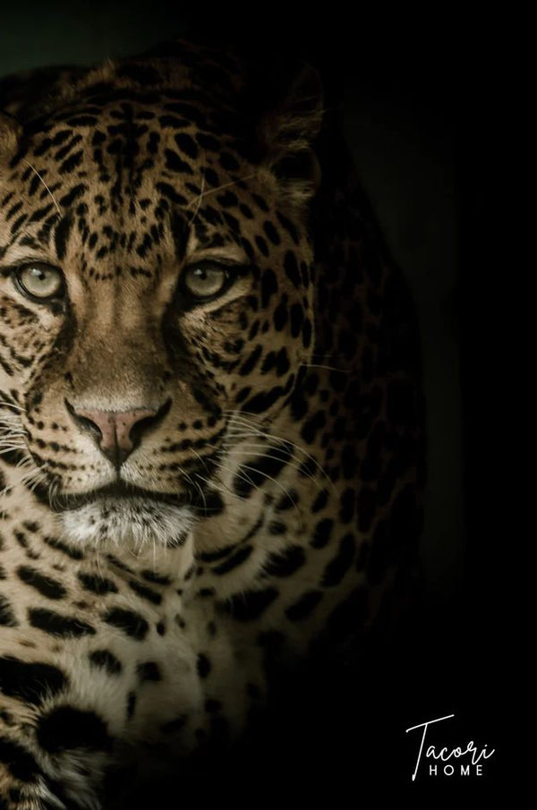 Tacori Microfibre Tea Towel Leo 60x40cm