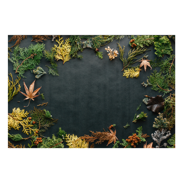 Zela Place Mats Fall Foliage   25pk