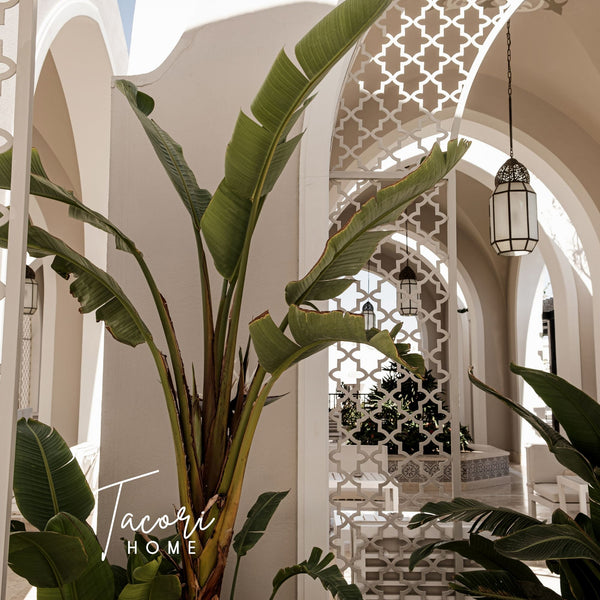 Tacori Microfibre Cloth Olive 30x30cm