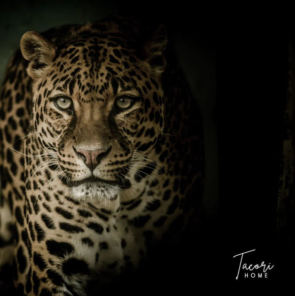 Tacori Microfibre Cloth Leo 30x30cm