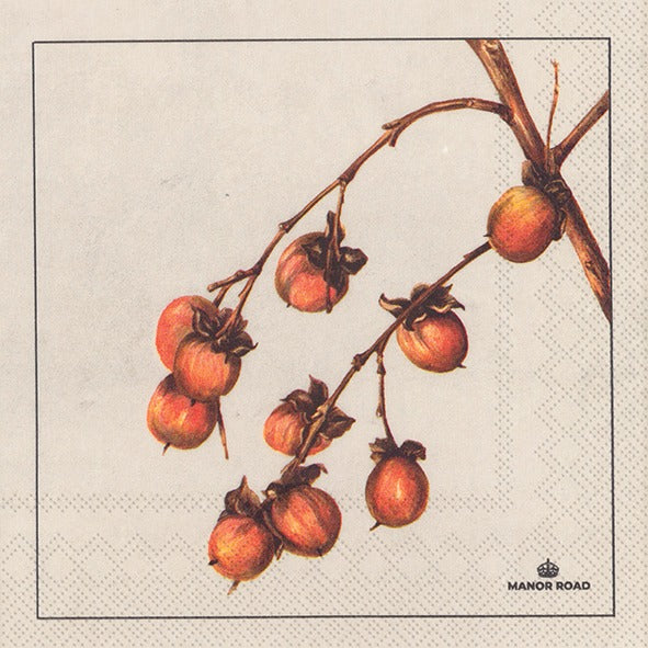 Manor Road Persimmon Luncheon Napkin 20pk